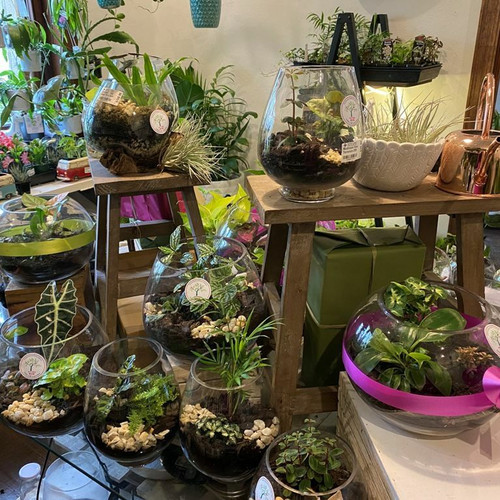Terrariums