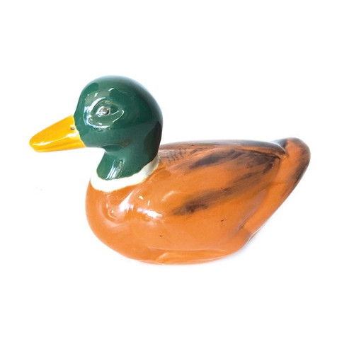 Floating Duck