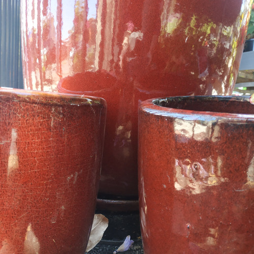 High Cup Pot Wine Med