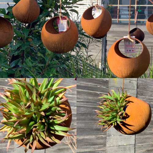 Rust Ball Hanging Sml