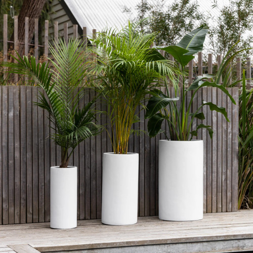 Saxon Cylinder Pot White Lrg