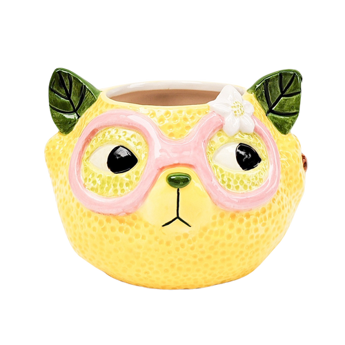 Tropicana Cat Yellow D9