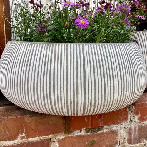 Vertical Stripe Low Bowl White Sml (87997)