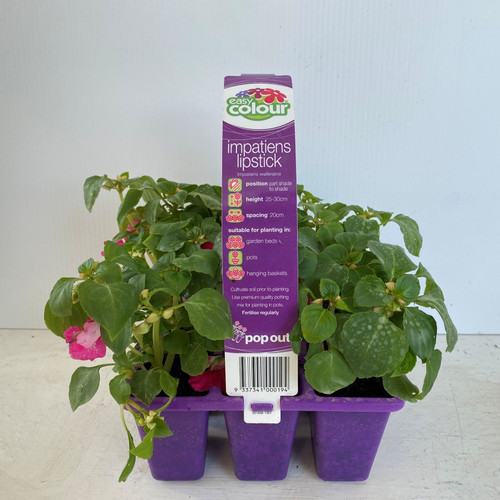 Easy Colour - Impatiens Lipstick