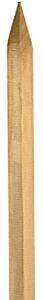 Stake Wood Point 1.8m 10Pk
