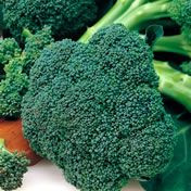 Fothergill Seed Broccoli Italian Sp
