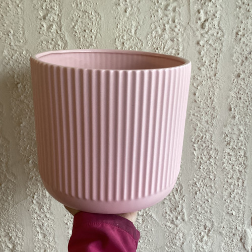 Dol Cylinder Ribbed Rose Pink 20H
