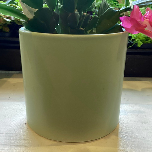 Dol Cylinder Soft Green 10H