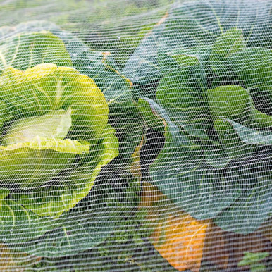 Fitted Insect Exclusion Netting 2.4X2.8m