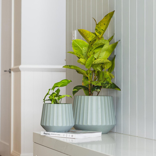 Cove Ribbed Drum Pot Sage D27