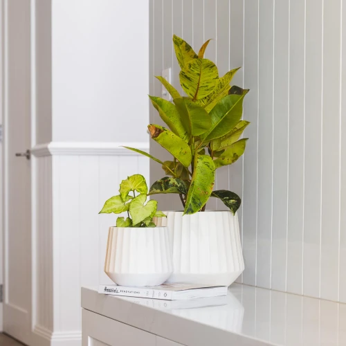 Cove Ribbed Drum Pot White D27