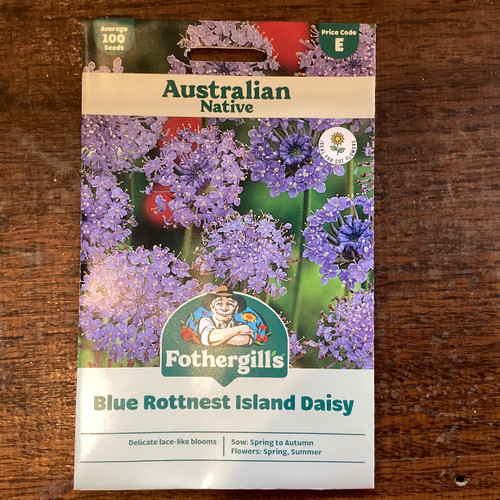 Fothergill Seed Wildflower Rottnest Daisy Blue