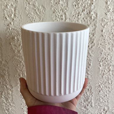 Dol Cylinder Ribbed White 24H