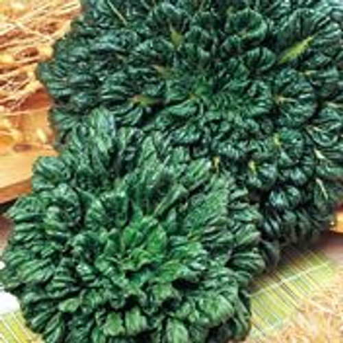 Fothergill Seed Bok Choi