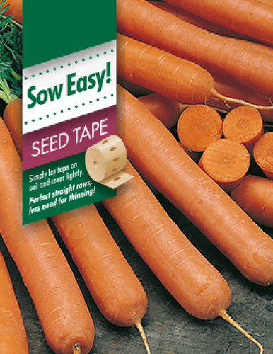 Fothergill Seed Carrot Manchester T