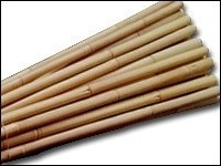 Ryset Stakes 120Cm 15Pk