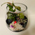 Mushroom Terrarium