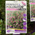 Correa 'Perfect Pollinator Pink' 140 mm