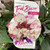 Hydrangea 'Trailblazer Picotee' 200 mm