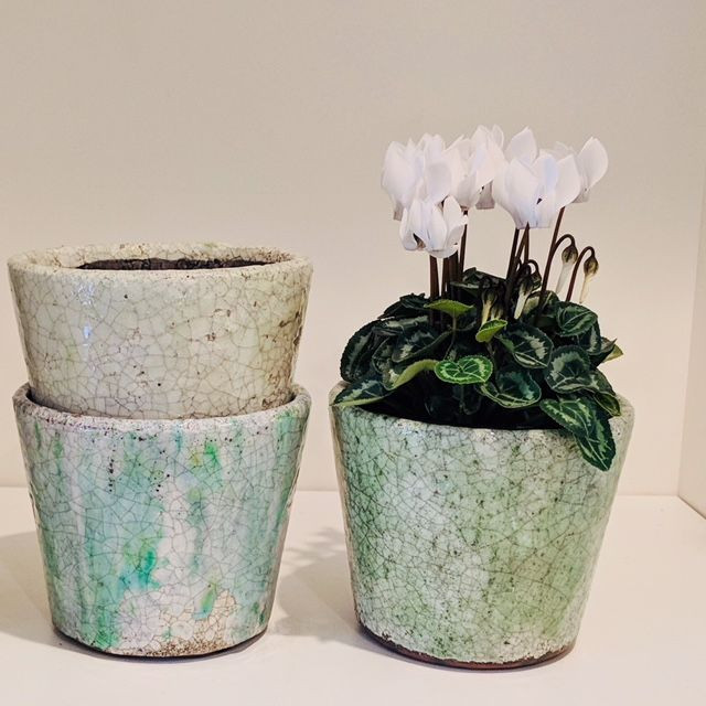 Vintage Greens Cover Pot