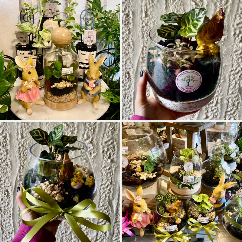 HOP IN 4 EASTER SAVINGS