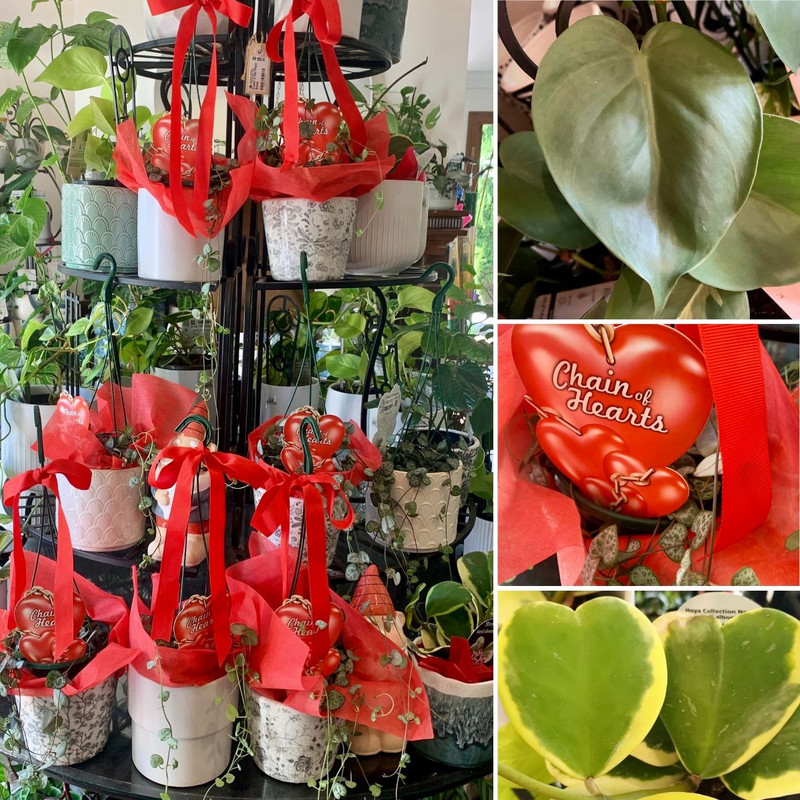 We HEART Valentine's Day