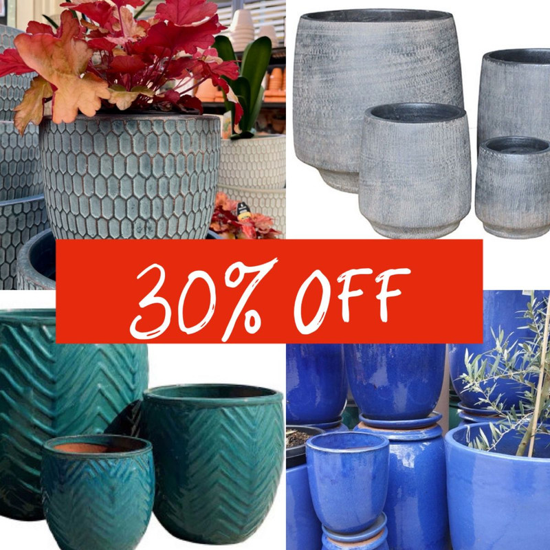 STOCKTAKE SALE & SILVER BLUE & FLAMES