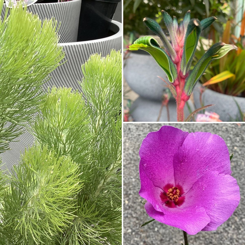 Get In The Garden This Long Weekend!