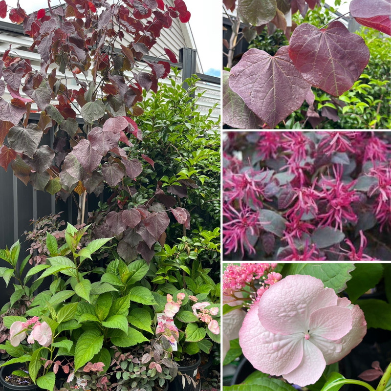 Happy New Year! Colour For All Seasons