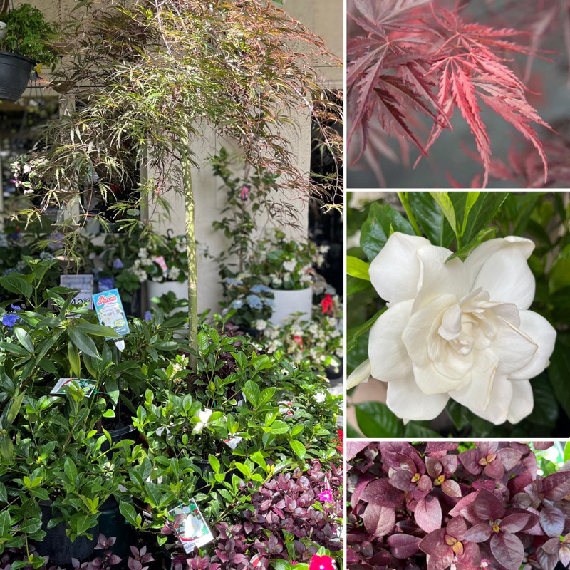 HAPPY N Y 30%OFF DOOR MATS and WARM FOLIAGE AND FRAGRANCE