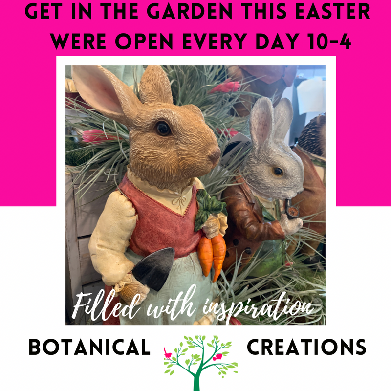 Autumn Tones Foliage & Intriguing Indoors