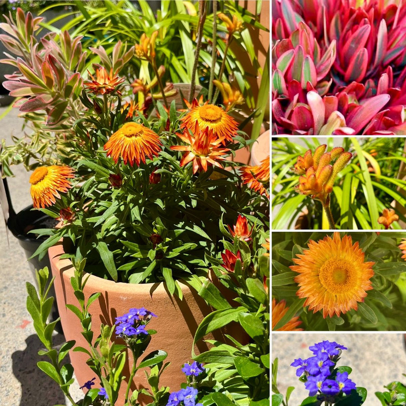 SOME LIKE IT HOT! SUMMER COLOUR