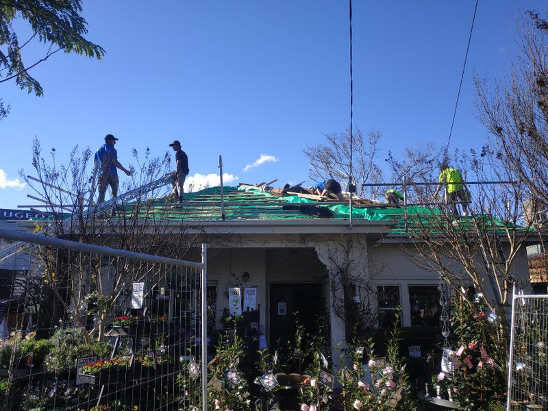 BARE ROOT ROSES JUST ARRIVED