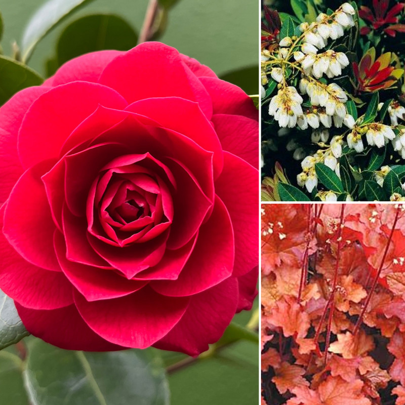 Fire Up The Garden + New Pots NOW IN