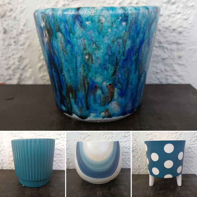 Create a Lush Tropical Look , Tuscan Kale & Blue Pots