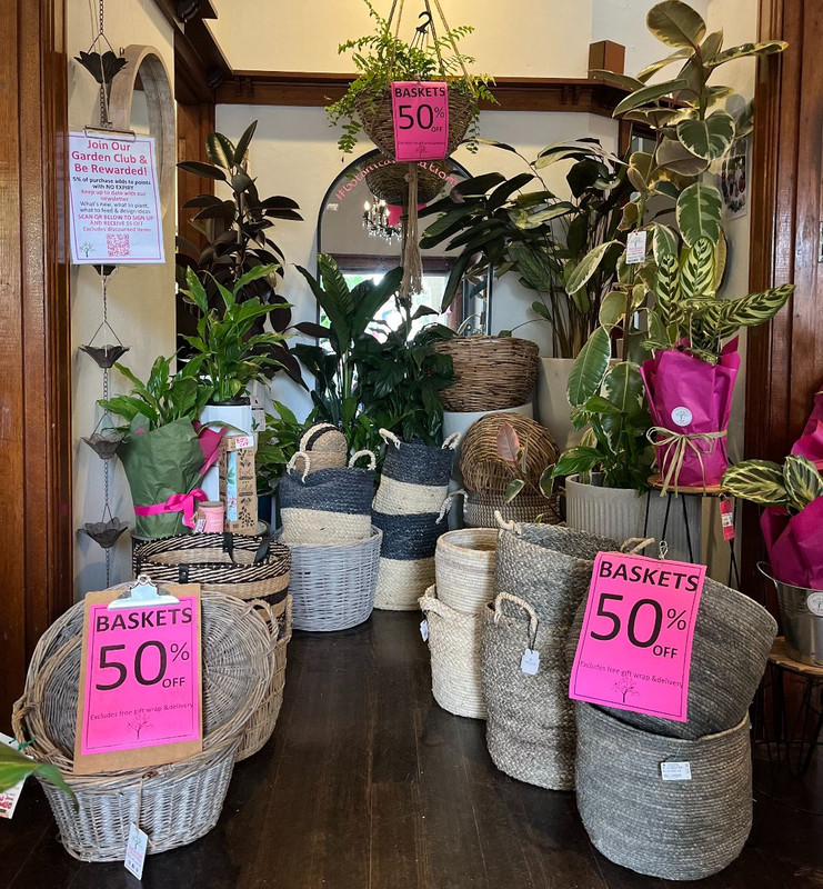 Pretty in Pinks + 50% OFF INDOOR BASKETS