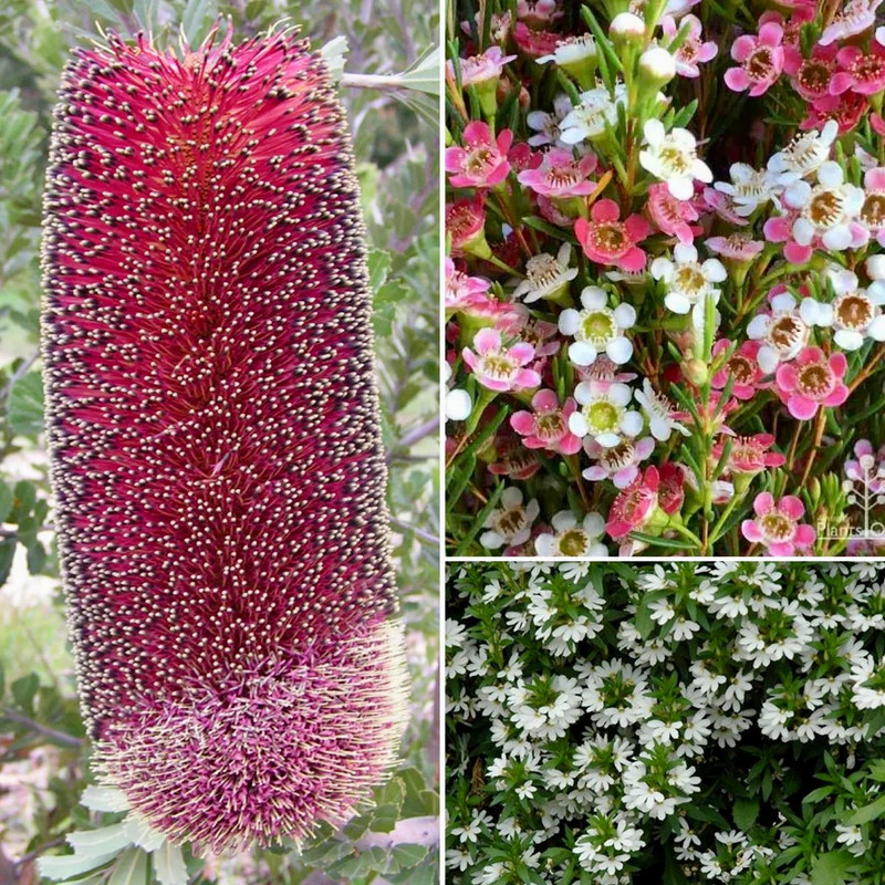 WONDERFUL WINE & WHITE!