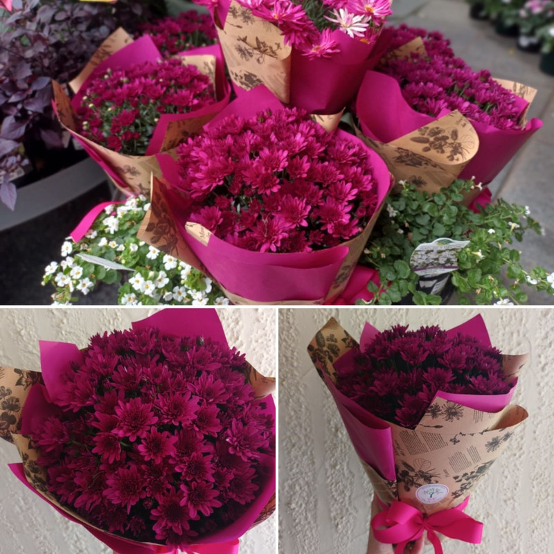 Easter Flowers  Autumn Foliage PLUS Mini Indoor Combos!