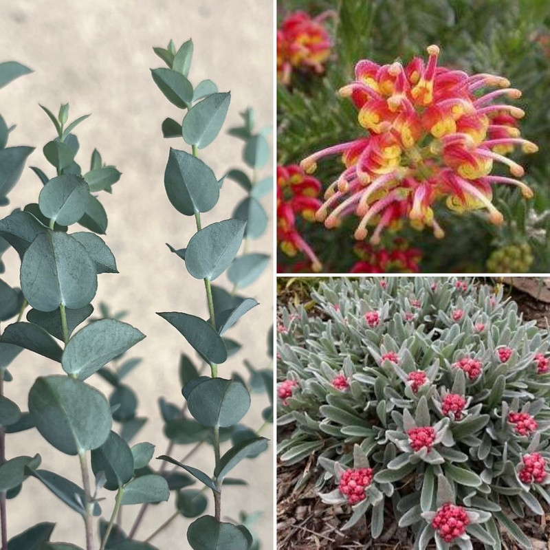 Create A Warming Winter Garden