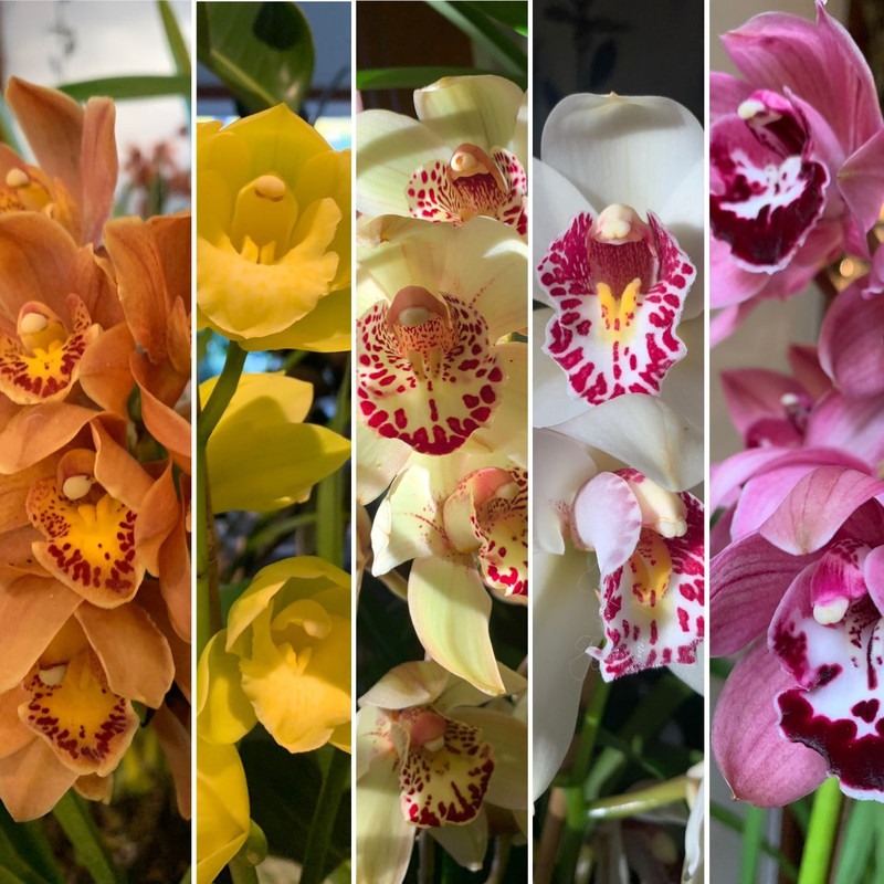 MEGA STOCKTAKE SALE- LAST 3 DAYS