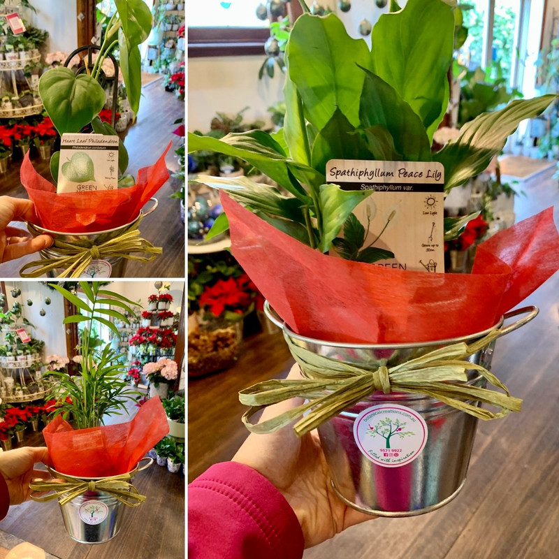 FRESH Festive Gift Ideas! Gifts Under $20