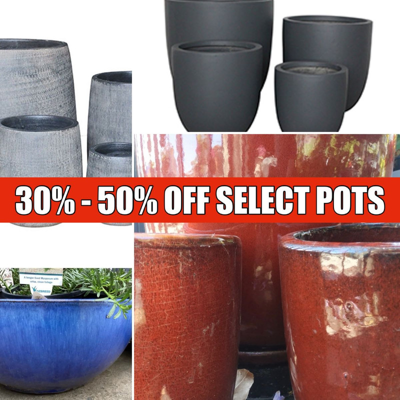 Wheels of Fire & Fields of Lemon