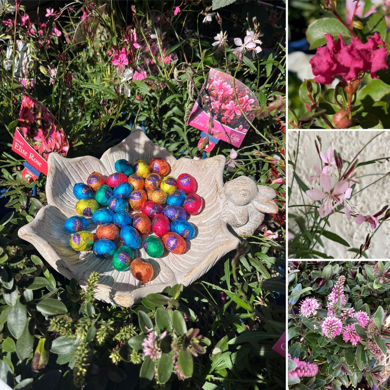 Growth, Hope & New Life OPEN ALL EASTER WEEKEND