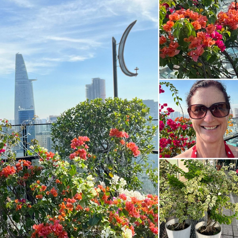 A TOUCH OF THE TROPICS & TASTY TAMARILLO