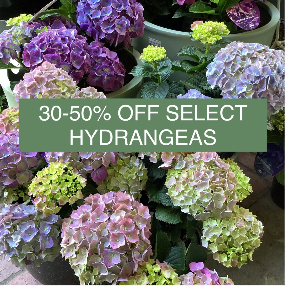STOCKTAKE SALE NOW ON! 30-50%OFF SELECT POTS&PLANTS