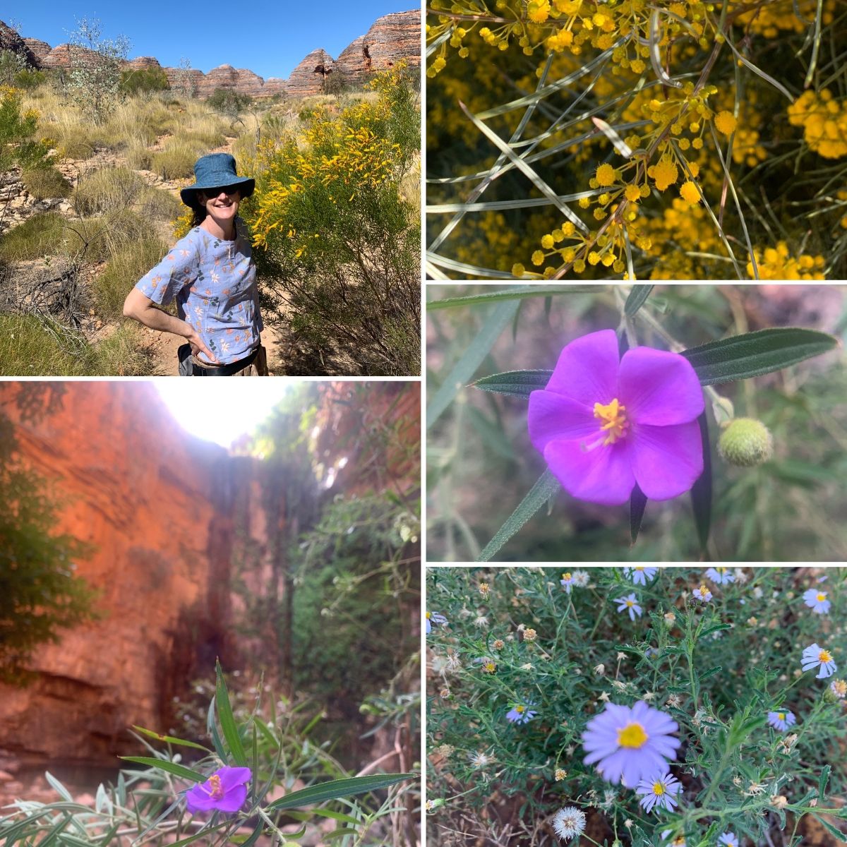 Outback Inspiration, Pink Rosemary & Rain on Display