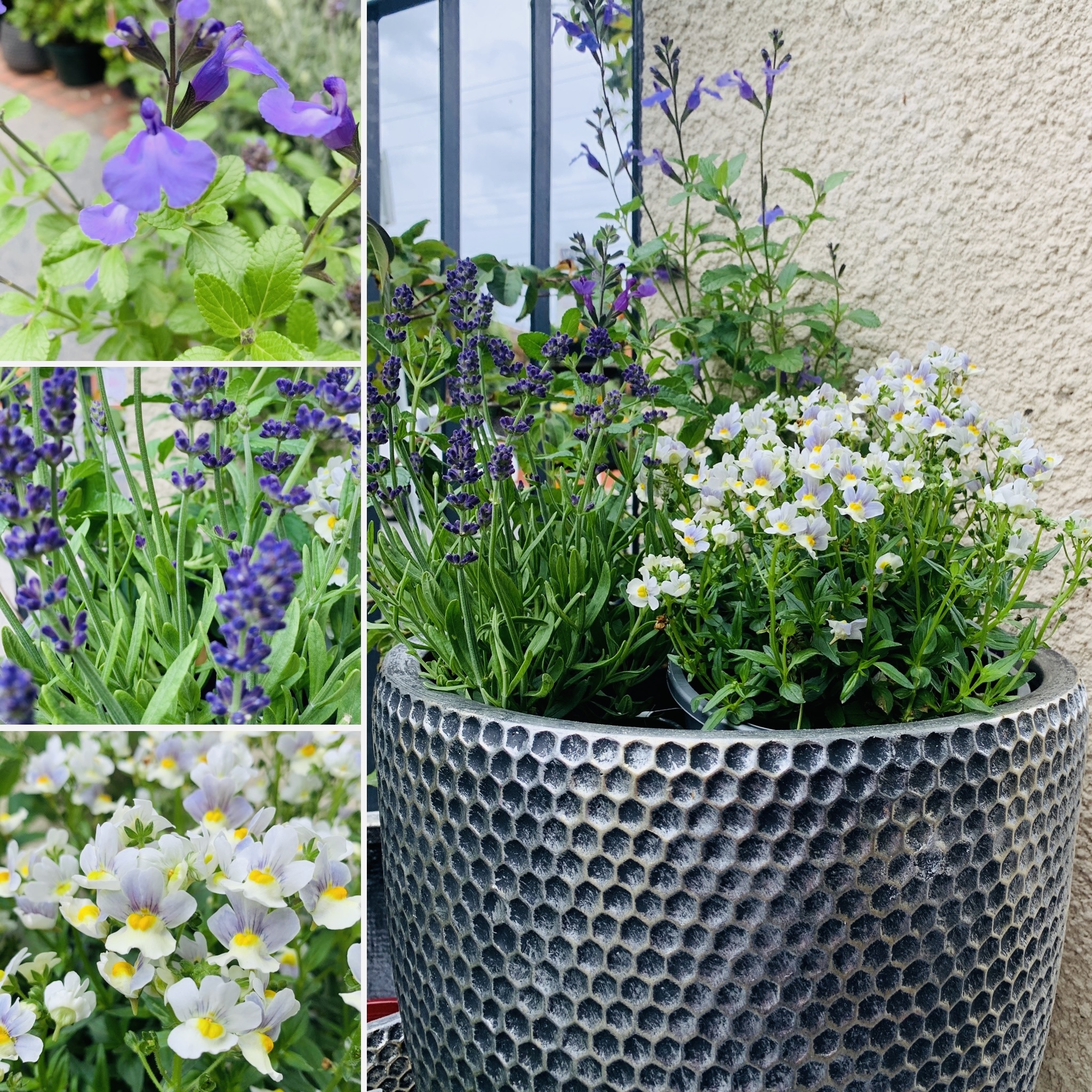 Easter Bonnet & Fragrant Blue Egg Pot