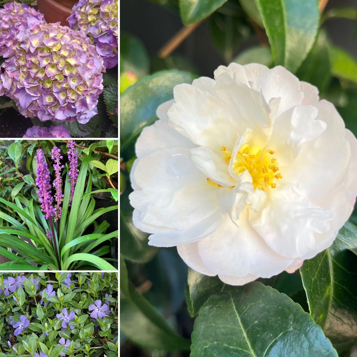 Classic Combos & Fashionable Flowers!