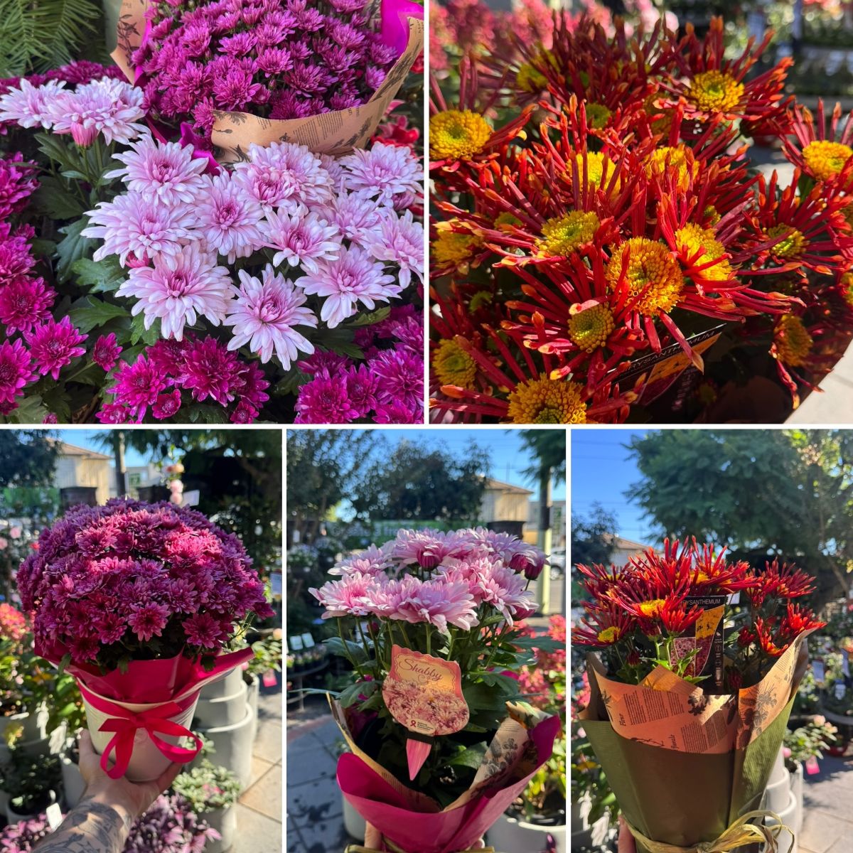 GOLDEN AUTUMN & MOTHER'S DAY GIFTS!