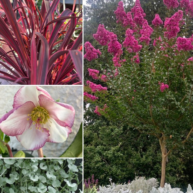Winter Wonders for Colour & Contrast